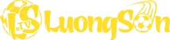thứ hạng của psv
